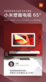 專業人士這樣評價小米小米壁畫電視 網友 難怪這么火爆